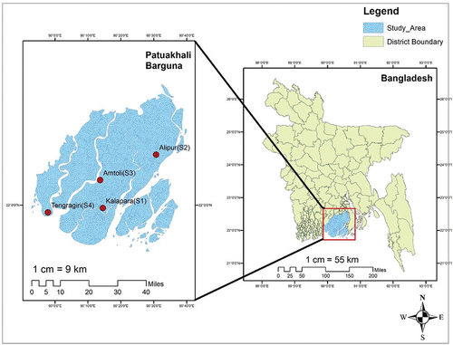 Figure 1. Map displaying the research area with four sampling sites in the southern coastal region of Bangladesh: Kalapara (S1, 21°98′61″N, 90°24′22″E), Alipur (S2, 22°25′55.0″N, 90°51’16.2″E), Amtoli (S3, 22°12′71.9″N, 90°22′82.5″E), and Tengragiri (S4, 21°96′34.79″N, 89°96′42.68″E).