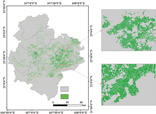 Figure 7. Extraction results of sugarcane in Chongzuo city.