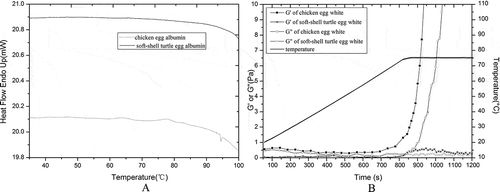 Figure 2   DSC thermogram (a) and rheological properties (b) of native STEW and native CEW.