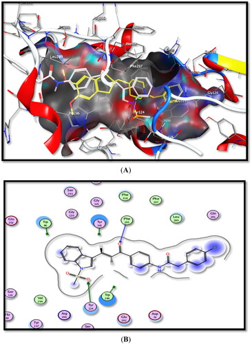 Figure 8. Binding interactions of the most active compound 5b inside rhAChE active site, (A) 3D image, 5b is described as white colour line and the ligand as yellow colour line, (B) 2D image.