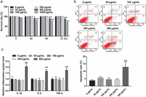 Figure 1. Effect of PSP on the survival, apoptosis, and inflammation of L6 myotubes. (a) The effect of different PSP concentrations on the cell survival of L6 myotubes as assessed by CCK8 assay (*P < 0.05, **P < 0.01, ***P < 0.001 vs. 0 μg/mL). (b) The effect of different PSP concentrations on the apoptosis of L6 myotubes as assessed by Flow Cytometer. (c) The levels of IL-1β, IL-6, and TNF-α in the cell supernatant as measured by ELISA. PSP: Polygonatum sibiricum polysaccharide; PA: palmitic acid; CCK8: Cell Counting Kit-8