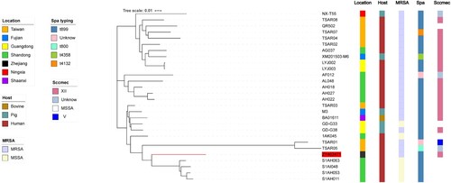 Figure 1. Construction of phylogenetic tree among ST9 isolates. Twenty-eight ST9 strains genome sequences were aligned. The information of ST9 strains is shown on the left, including the location, host, and the presence of SCCmec type and spa type. To reduce the number of parameters in the model, we grouped samples into seven geographical regions: Taiwan, Shandong, Fujian, Zhejiang, Shaanxi, Ningxia, and Guangdong. To explore putative host switching in ST9, we also added the sampled host as a discrete trait to the model. Three possible hosts were included human, bovine, and pig.