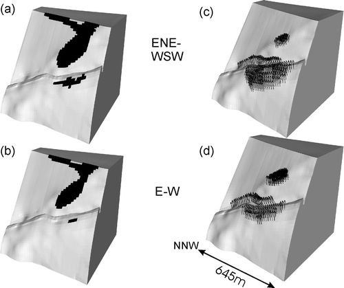 Figure 5 (a, b) Accumulated positive volume strain (dilation) in models of the Dukes Nose after 5% shortening. Only the highest ranges of values (black patches) are shown and are as follows: (a) 0.05 – 0.086; (b) 0.05 – 0.086. Values below 0.05 are transparent. (c, d) Instantaneous fluid-flow velocities in models of the Dukes Nose at 5% shortening. Only highest values (represented by arrows) are shown and are as follows: (c) 4.5 × 10−7 to 4.97 × 10−7 m/s; (d) 3.5 × 10−7 to 4.98 × 10−7 m/s. Values below 3.5 × 10−7 m/s are transparent. Note abbreviations (e.g. E – W) for shortening directions.