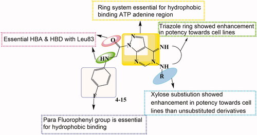 Figure 11. Structure–activity relationship for compounds (4–15).