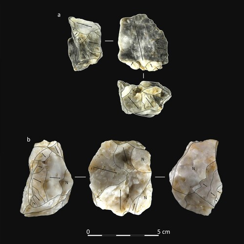 Figure 8. EDAR 135, upper level Levallois cores: a (Figure 13: a) and b (Figure 13: c). Photographs by M. Jórdeczka.