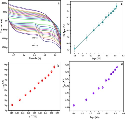 Figure 10. CV output of (a) anodic peak current versus peak potential at varying scan rate from 0.025 to 0.325 V/s (b) plot of Ipa versus ν1/2 (c) plot of log Ipa versus log ν (d) graph of Epa versus log ν.