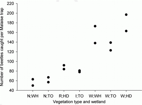 Figure 2  Total abundance of beetles collected from a Malaise trap within two plots at each vegetation type in the Waikato wetlands. N, native wetland vegetation; R, restored native wetland vegetation; I, native wetland vegetation undergoing grey willow invasion; W, dense grey willow-dominated vegetation; WH, Whangamarino; TO, Toreparu; HD, Horsham Downs peat lakes.