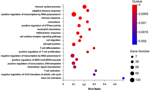 Figure 5 GO biological process enrichment analysis graph of DEGs.