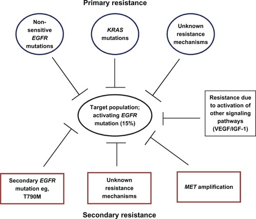 Figure 1 Summary of mechanisms underlying resistance to first-generation EGFR-TKIs.