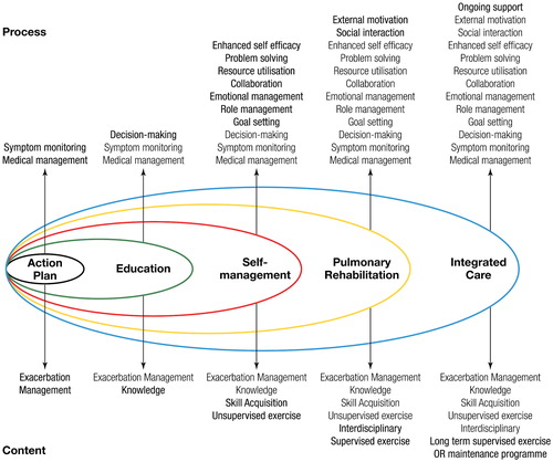 Figure 2 The spectrum of support available for patients with COPD. Reproduced with permission from Spruit et al. (Citation1). Reprinted with permission of the American Thoracic Society. Copyright© 2018 American Thoracic Society (Citation1). The American Journal of Respiratory and Critical Care Medicine is an official journal of the American Thoracic Society.