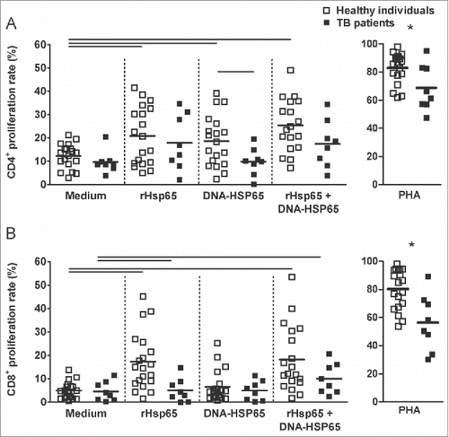 Figure 6. Stimulation with rHsp65 plus DNA-HSP65 improves cell proliferation rate. PBMC cultures from health individuals and TB patients (untreated) were performed as described in Figure 4. (A) CD4+ cell proliferation rate. (B) CD8+ cell proliferation rate. Horizontal lines represent the mean value of 11 to 18 healthy individuals (white squares) and 8 to 12 untreated patients (black squares). *p < 0.05 compare with other groups. Bars p < 0.05 compare with linked stimulus.