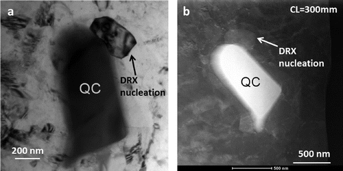 Figure 9. (a) Conventional TEM bright field image showing a DRX grain nucleated on Mg3Zn6Y quasicrystalline (QC) particle in N=1/2 HPT processed sample. (b) STEM-LAADF images (CL = 300 mm) showing diffraction contrast from newly recrystallized grains nucleated on the quasicrystalline particle.