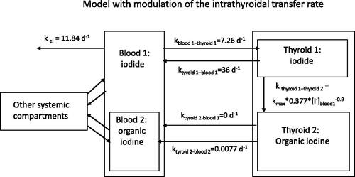 Figure 3. Thyroid blocking model based on the modulation of the intra-thyroidal transfer rate from the iodide pool to the organic iodine pool by the serum iodide concentration (Kwon et al. Citation2020). The model can be viewed as a combination of the multi-compartment model of Leggett (Citation2010) and the empirical equation of Blum and Eisenbud (Citation1967) relating radioiodine uptake suppression to the serum iodide concentration. In the figure, only the part of the model showing the principle of thyroid blocking has been shown and additional compartments of the original model have been voluntarily omitted for simplification.