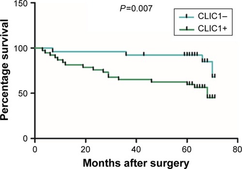 Figure 2 CLIC1 was correlated with overall survival rate in oral squamous cell carcinoma patients.
