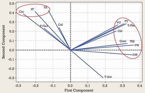 Figure 5. Loading plot of studied traits at the third harvest time according to the first two PCAs.