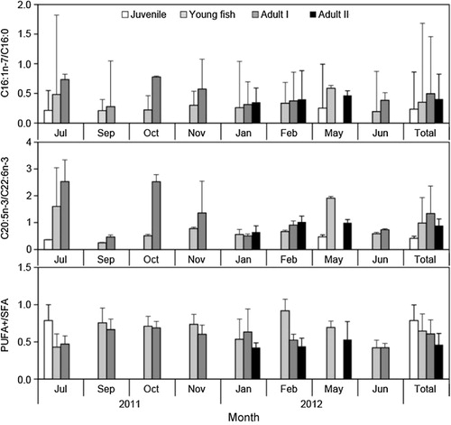 Figure 6. Monthly variation in C16:1n-7/C16:0, C20:5n-3/C22:6n-3, and PUFA+/SFA ratios of juvenile, young, and adult anchovies (E. japonicus) in the southern waters of Korea.