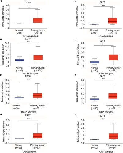 Figure 2 Transcriptional levels of E2Fs in liver cancer tissues and adjacent nontumoral liver tissues from TCGA database.Notes: Expression panels for E2F1 (A), E2F2 (B), E2F3 (C), E2F4 (D), E2F5 (E), E2F6 (F), E2F7 (G), and E2F8 (H) based on major cancer stage comparing 50 normal individuals and data for 371 HCC patients in TCGA database. Major cancer stage represents liver cancer from stage 1 to stage 4; ***P<0.001.Abbreviations: HCC, hepatocellular carcinoma; TCGA, The Cancer Genome Atlas.