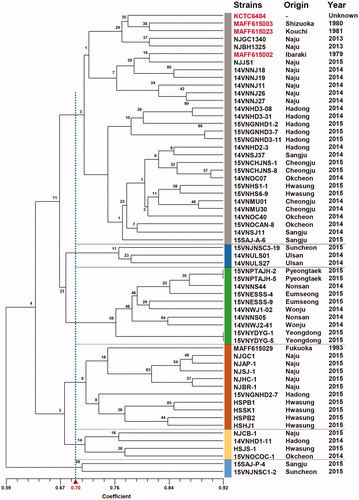 Figure 6. UPGMA dendrogram of 55 Venturia nashicola isolates collected in this study and five standard V. nashicola isolates based on RAPD polymorphism. Data from 10 different 10-mer primers were combined and used to construct a dendrogram. Origin and year of collection was indicated on the right for individual isolates. Standard V. nashicola isolates of Korea and Japan are indicated in red.