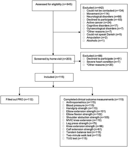 Figure 1. Flow chart.*Other indicates severe and complex health issues that excluded the older adults from participating in most of the selected clinical outcome measures (<50% of the clinical outcome measures).