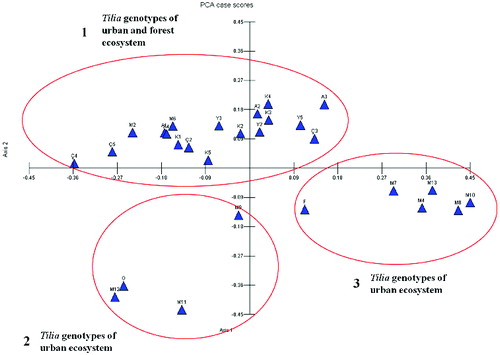 Figure 4. Principal component analysis plot of the RAPDs data among 28 genotypes of T. tomentosa.