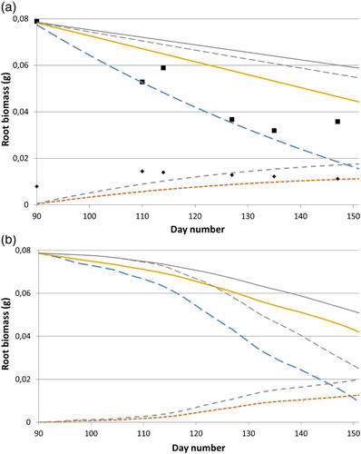 Figure 2. Simulated biomass (g) of roots of weight class 2 (medium) during root depletion at (a) a constant temperature of 8°C and (b) for soil temperature at 5 cm depth at Ultuna during 2008. Thick lines are from above: total (solid line), old roots (dashed line), fine roots (smaller dashed), and bg-shoots (smallest dashed) biomass. Thin lines are corresponding values for total (solid line) and old roots (dashed line) biomass at (a) a constant temperature of 4°C and (b) year 2006. Points are observed values of old root (large points) and bg-shoot (small points) biomass for the constant temperature treatment at 8°C. x-axis is daynumber from January 1 (inputs to the simulation were: (a) initial start root weight = 0.079 g; SFRRI = 0.61; RRT = 0.71 d−1; RDRTI = RDRObs at 8°C = 0.0106 d−1; (b) the same except that RRT = f1(T) (Equation (2)) and RDRTI = f2(T) (Equation (7))).