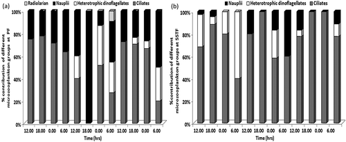 Figure 7. Diel pattern of major components of microzooplankton at the (a) PF and (b) SSTF.