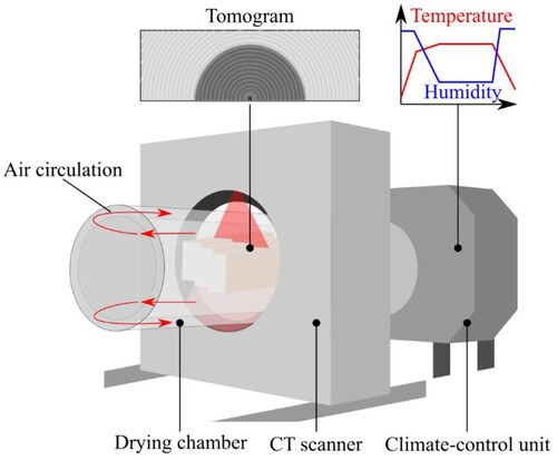 Figure 3. Experimental setup: the specimens were placed in the drying kiln to be simultaneously CT scanned and dried. The arrows within the drying chamber represent the direction in which the heated and moist air circulates.