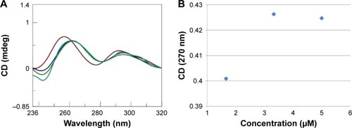 Figure 1 (A) Sum (Display full size) and complex (Display full size) CD spectra, recorded at 15°C in a tandem cell, relative to poly rI (8 nmol in I) and AOL (43 nmol in –NH3+) dissolved each in 0.8 mL of 1× PBS buffer (pH 7.5). Blue and green lines correspond to further additions of AOL (concentrations 3.3 [Display full size] and 5 µM [Display full size], respectively). (B) Variation of the CD values recorded at 270 nm relative to the solution of poly rI as function of the AOL concentration.Abbreviations: AOL, artificial oligolysine; CD, circular dichroism; PBS, phosphate-buffered saline; Poly rI, polyinosinic acid.