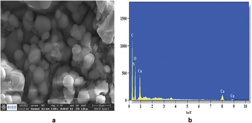 Figure 7. SEM-EDAX of copper nanoparticles.