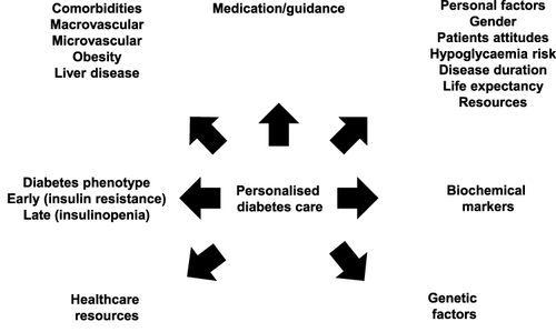Figure 1 Personalized diabetes care. This figure summarizes the key considerations that are needed when contemplating the choice of diabetes pharmacotherapy for a patient with T2D.