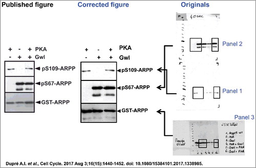 Figure 1a.  