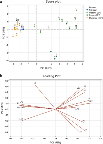 Figure 4. Scores (a) and loadings plot (b) from principal component analysis (PCA). The PCA illustrates changes in phospholipid composition in polychaete biomass during frozen storage at different conditions. Labels refer to sampling month. The first two principal components explained 63% and 13% of the variance in the dataset, respectively.