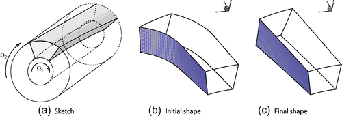 Figure 4. Schematic representation of the free vortex flow and of the selected stream tube (a). Initial (b) and final (c) geometry of the boundary surface.