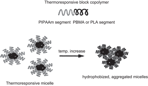Figure 7.  Structure of block copolymer micelles.