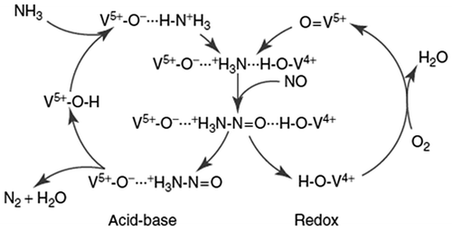 Figure 5 Catalytic cycle of the SCR reaction over a V2O5/TiO2 catalyst