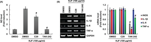 Figure 2. Effect of TLR2 and TLR4 on KJF-mediated production of immunostimulatory factors in RAW264.7 cells. RAW264.7 cells were pretreated with C29 (TLR2 inhibitor, 100 μM) or TAK-242 (TLR4 inhibitor, 5 μM) for 2 h and co-treated with KJF (100 μg/ml) for 24 h. NO level (A) and mRNA level (B) were measured by Griess assay and RT-PCR, respectively. *P < 0.05 compared to the cells without the treatment. #P < 0.05 compared to the cells with KJF alone.