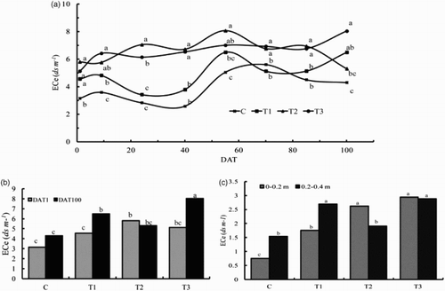 Figure 1. Seasonal variation in soil salinity at the depth of 0–0.4 m ((a), electrical conductivity in saturated paste, ECe, dS m−1), changes in ECe between the beginning of crop season and the end of harvest at 0–0.4 m depth (b), seasonal average ECe at the 0–0.2 and 0.2–0.4 m depth (c) in fresh water irrigation (C), saline water irrigation after DAT 50 (T1), saline water irrigation before DAT 50 (T2) and saline water irrigation (T3). Values followed by the different small letters indicate the significant difference of ECe at p < .05. DAT means days after thinning.