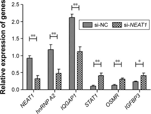 Figure 5 Knockdown of NEAT1-regulated genes which were related with HCC progression.