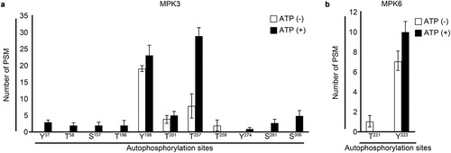 Figure 1. Autophosphorylation sites of recombinant MPK3 and MPK6.
