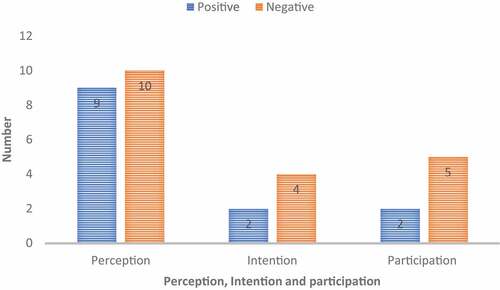 Figure 3. Number of studies with regards to perception, intention and participation of the youth.