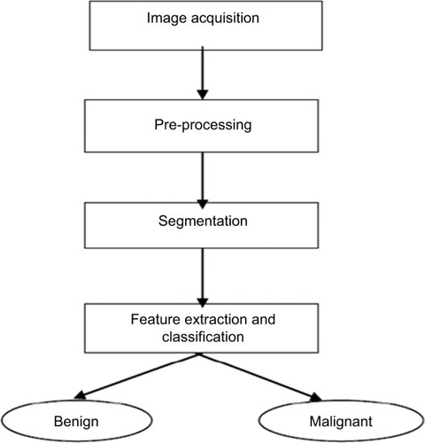 Figure 2 Stages of cancer detection by image processing.