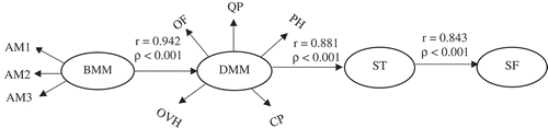 Figure 4. Significance of AM to DMM, DMM to AMM and AMM to SF