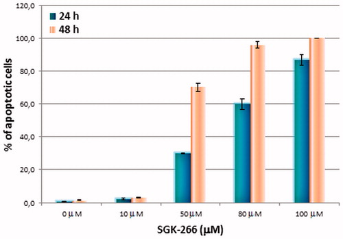 Figure 5. TUNEL assay of compound 12 (SGK 266) after 24–48 h incubation.