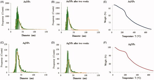 Figure 7. ICP-MS measurement of AuNPs (A) and AgNPs (B) of freshly prepared nanoparticles which shows the size distribution histogram. ICP-MS measurements were performed initially and after two weeks of incubation to analyze the nanoparticles stability for AuNPs (C) and AgNPs (D). The dwell time was set to 50 µs and the scan time to 100s. Thermogravimetric analysis (TGA) measurement of AuNPs (E) and AgNPs (F), which shows the complete nanoparticles degradation at high temperature.