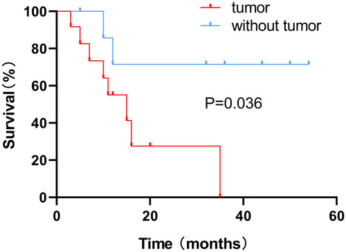 Figure 4 Kaplan-Meier survival curves showing a greater risk of death for patients with tumours than patients without tumours (P = 0.036).