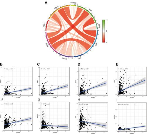 Figure 9 Correlation of immunosuppressive molecules expression with IQGAP3 expression. (A) Circle diagram of correlation between immunosuppressive molecules expression and IQGAP3 expression; (B–E) Correlation analysis results showed that IQGAP3 was positively associated with PD-1, LAG3, CTLA4, and TIGIT; (F–H) Correlation analysis results showed that IQGAP3 was negatively associated with B7H3, TIM3 and VSIR (I) No correlation between IQGAP3 and PD-L1 was found.