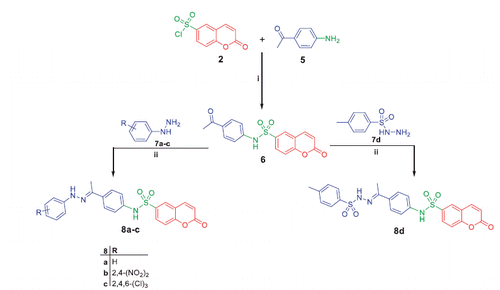 Scheme 2. Synthesis of target compounds 8a–d; Reagents and conditions: (i) Pyridine/stirring, rt 24h; (ii) EtOH/AcOH (catalytic)/reflux 8 h.