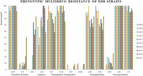 Figure 2. Phenotypic Multidrug Resistane of XDR Strains.