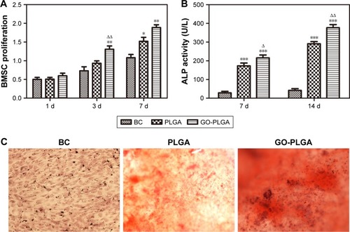 Figure 3 (A) CCK-8 assay, (B) ALP activity, and (C) Alizarin Red staining of the BC, PLGA, and GO-PLGA groups after rabbit BMSCs were seeded onto electrospun nanofibrous membranes.Notes: Results are presented as the mean±SD (n=3 for each group). *P<0.05 vs control; **P<0.01 vs control; ***P<0.001 vs control; ΔP<0.05 vs PLGA; ΔΔP<0.01 vs PLGA.Abbreviations: BC, blank control; BMSC, bone marrow mesenchymal stem cell; CCK-8, Cell Counting Kit-8; GO, graphene oxide; PLGA, poly(lactic-co-glycolic acid); D, days.