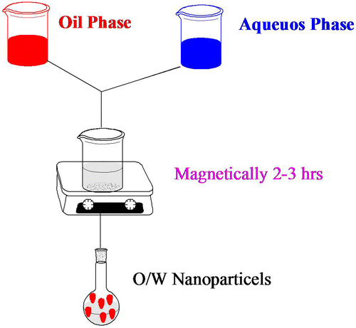 Figure 2. Schematic illustration of preparation of mPEG–PCL nanoparticles; (a) o/w emulsion solvent evaporation.
